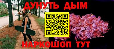 СК Гай