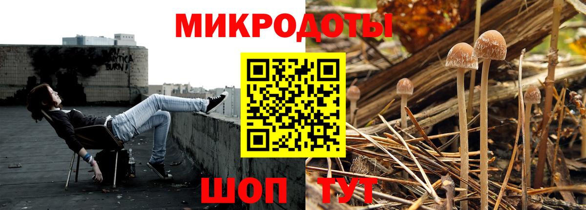 Можга  Псилоцибиновые грибы Cubensis  Вход с VPN 